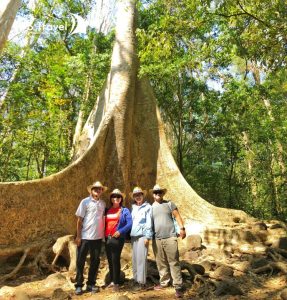 Tour Nam Cát Tiên Team building 1 ngày từ TP.HCM