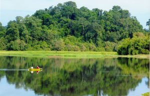 Tour Nam Cát Tiên 2 ngày 1 đêm từ TP.HCM